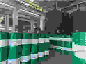 S(chng)(sh)ĔzӰ